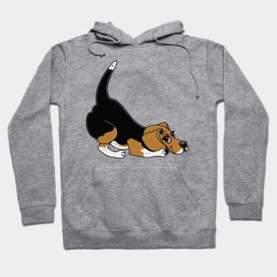 Playful Beagle Hoodie